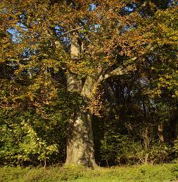 bild1