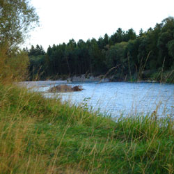 bild1